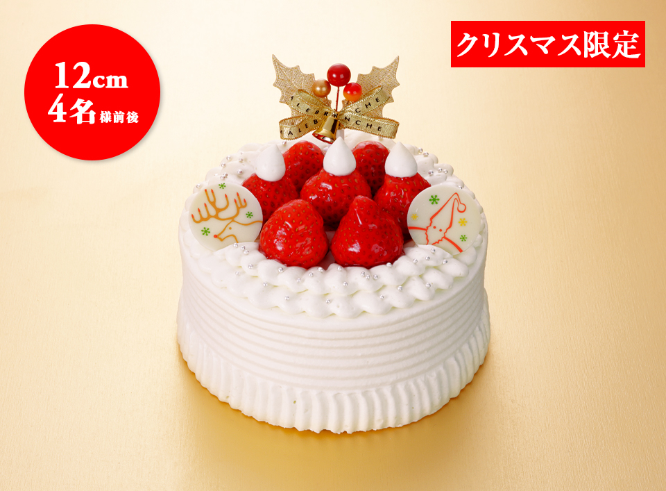 Xmas/ｸﾘｽﾏｽの庭園/12cm